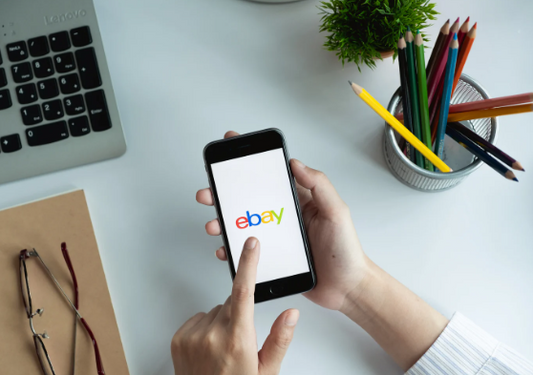 EBAY SELLING GUIDE: Effortless profits while you $leep.